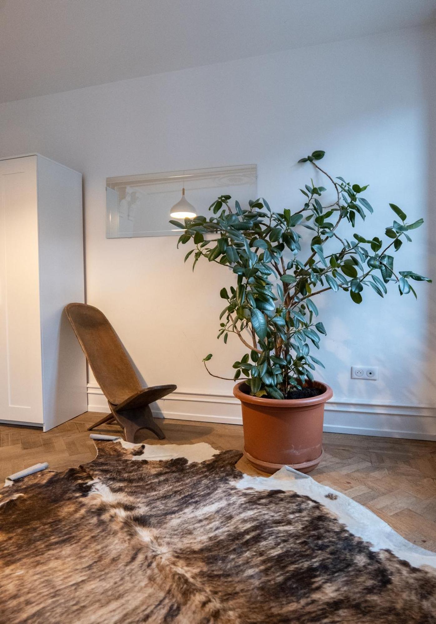 Les Appartements Rue Des Veaux - Quartier Cathedrale Strasbourg Exterior photo